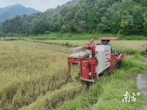 科技興農 新型農機設備助推翁源現代農業(yè)發(fā)展